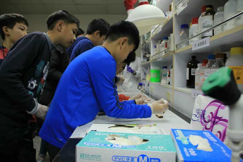 雲林縣政府政風處廉政志工協助辦理「2018食安小當家—廉能體驗活動」學童操作簡易快速篩檢