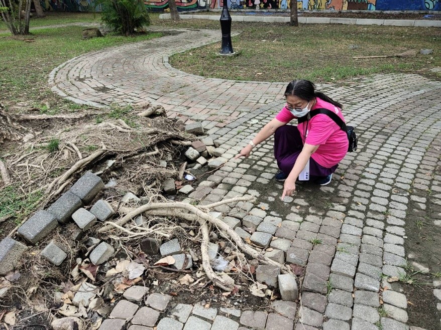 遊戲的笑聲背後，有我們的守護-臺南志工廉政志工巡查永康區公兒4-5公園，發現人行道地磚碎裂。