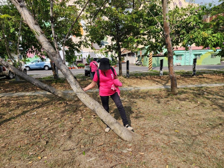 遊戲的笑聲背後，有我們的守護-臺南志工廉政志工巡查新化區武德殿公園，發現樹木傾斜。